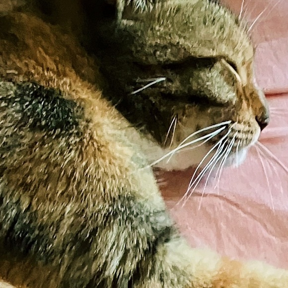 Meet your Posher, June - Picture 7 of 15